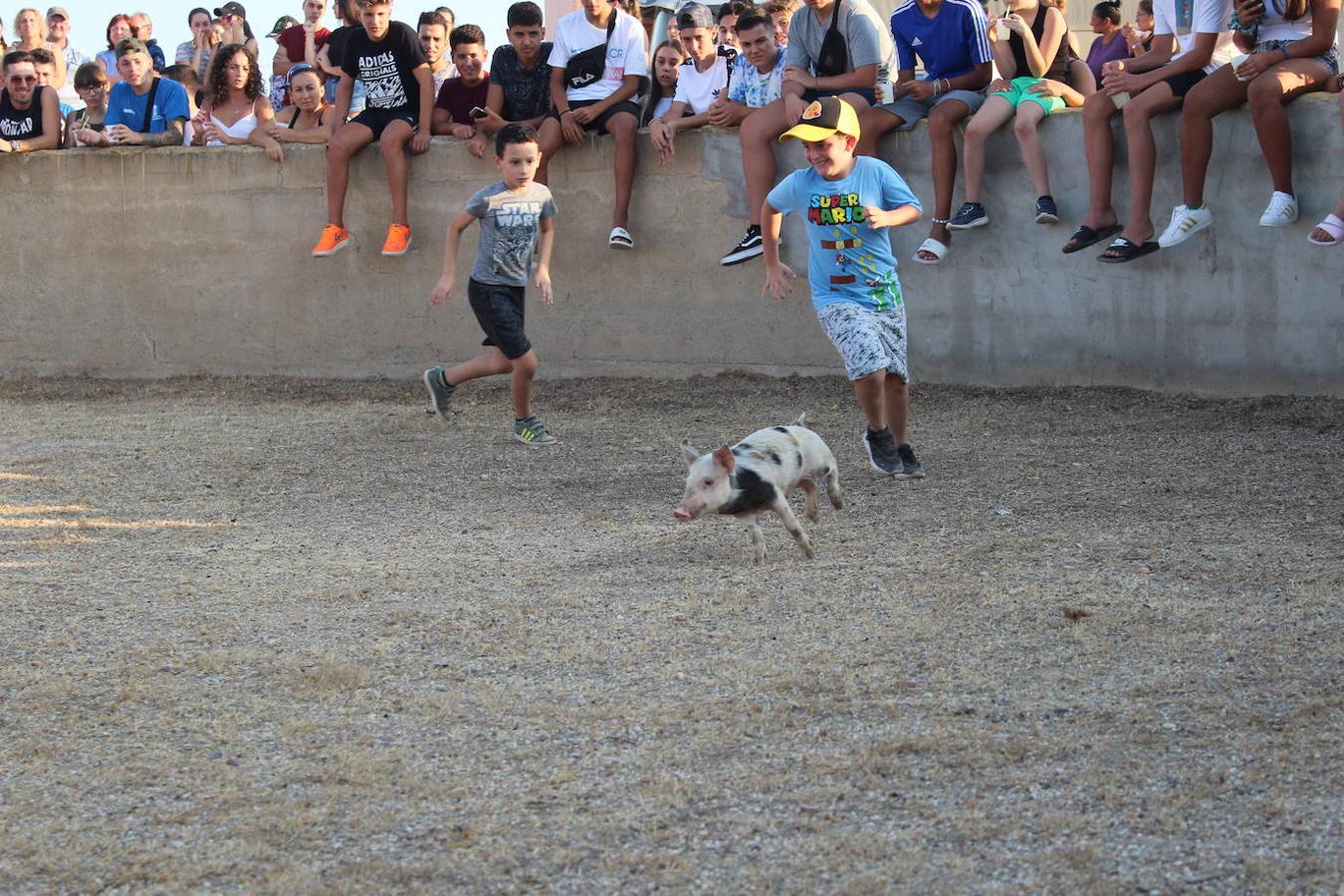 El núcleo ejidense de San Agustín continúa disfrutando de la amplia y variada programación elaborada por la Junta Local con motivo de sus fiestas patronales en honor de San Agustín y la Virgen de La Consolación, que se desarrollan hasta mañana domingo. Tras la disputa del Rally de Carretillas y el Lanzamiento de Bolsos del jueves, las fiestas continuaron ayer con la caza del marranillo y el tiro con cuerda y con barra entre los adultos.