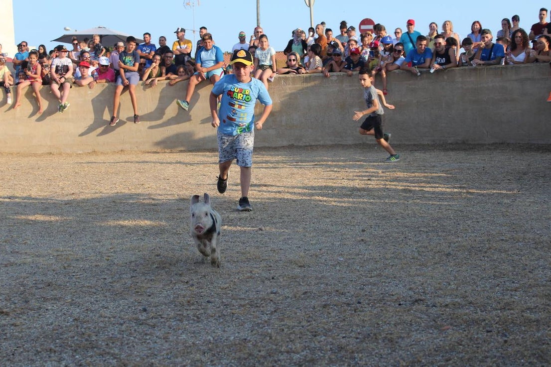 El núcleo ejidense de San Agustín continúa disfrutando de la amplia y variada programación elaborada por la Junta Local con motivo de sus fiestas patronales en honor de San Agustín y la Virgen de La Consolación, que se desarrollan hasta mañana domingo. Tras la disputa del Rally de Carretillas y el Lanzamiento de Bolsos del jueves, las fiestas continuaron ayer con la caza del marranillo y el tiro con cuerda y con barra entre los adultos.