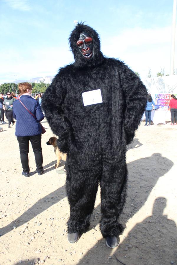 Concienciar y colaborar en una actividad deportiva, familiar y divertida. Esa fue la propuesta en la mañana de ayer de la asociación Soy Especial yQué con su segunda edición de la Masco Running. Una carrera cuya particularidad fue que había que correrla con una mascota bien real o en peluche, pero que también permitía hacerlo disfrazado de animal. Todo ello para de una manera divertida y amena concienciar sobre la importancia de cuidar a los animales y su tenencia responsable, al tiempo que dar a conocer los distintos refugios y asociaciones de animales que hay en el entorno.