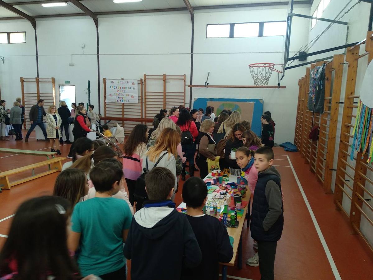 Fotos: Los centros educativos promueven la solidaridad en el Día Escolar de la Paz