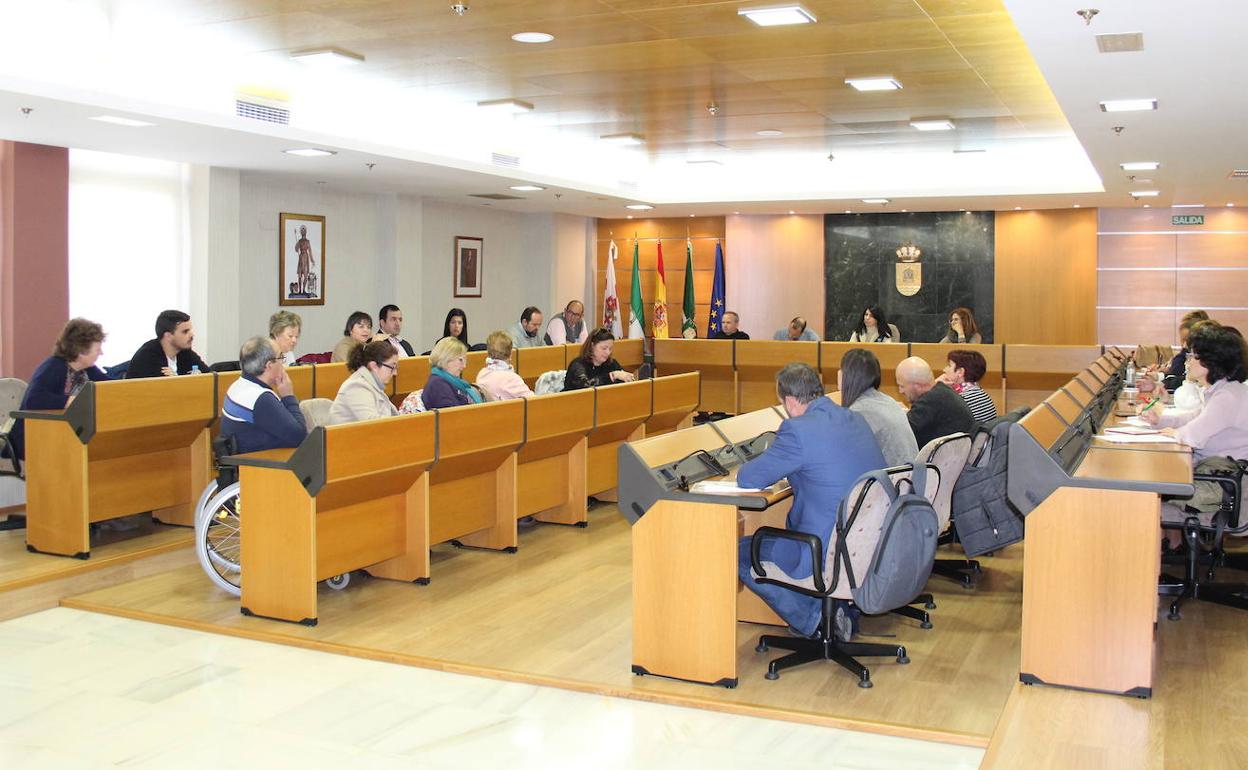 La Mesa de la Discapacidad prepara nuevas acciones de formación locales