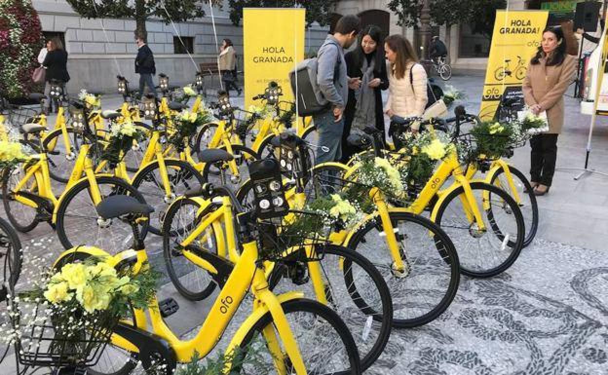 Movilidad en El Ejido tras el coronavirus | El PSOE de El Ejido propone impulsar un servicio de alquiler de bicis
