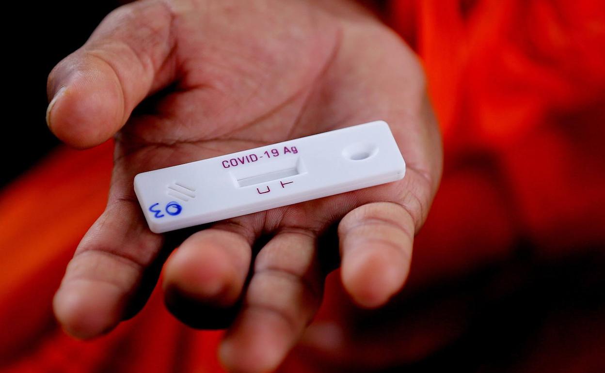 Coronavirus en Almería | El Ejido hará una batida de test rápidos en asentamientos para aflorar casos asintomáticos