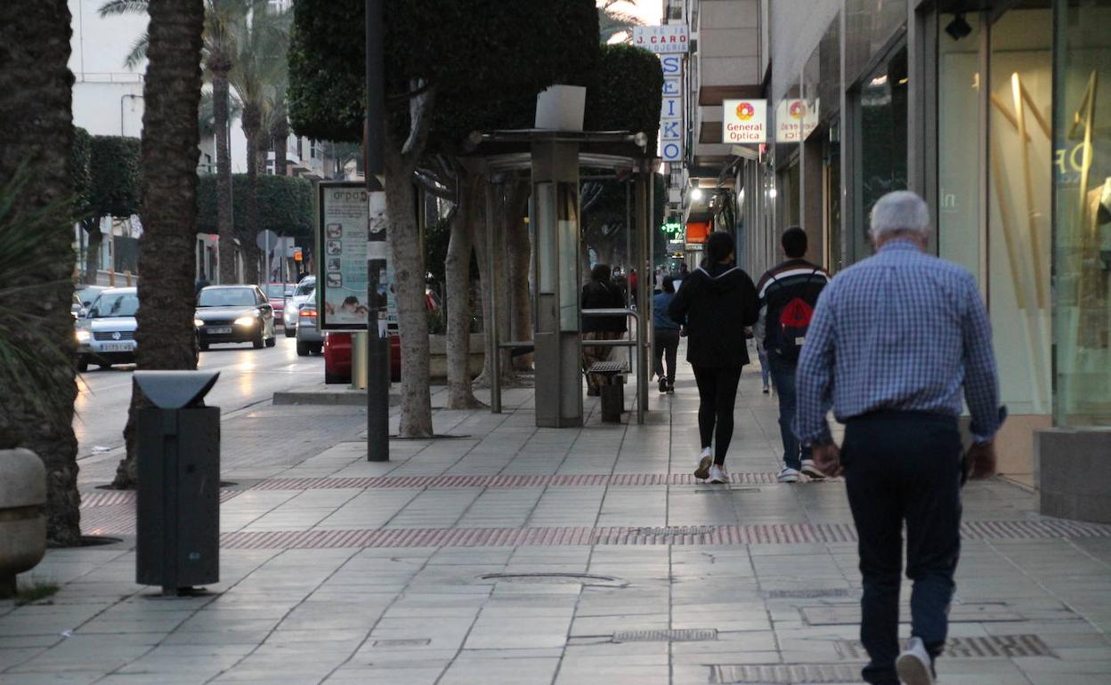 Nace la 'Asociación de Comerciantes, Servicios y Hostelería de El Ejido'