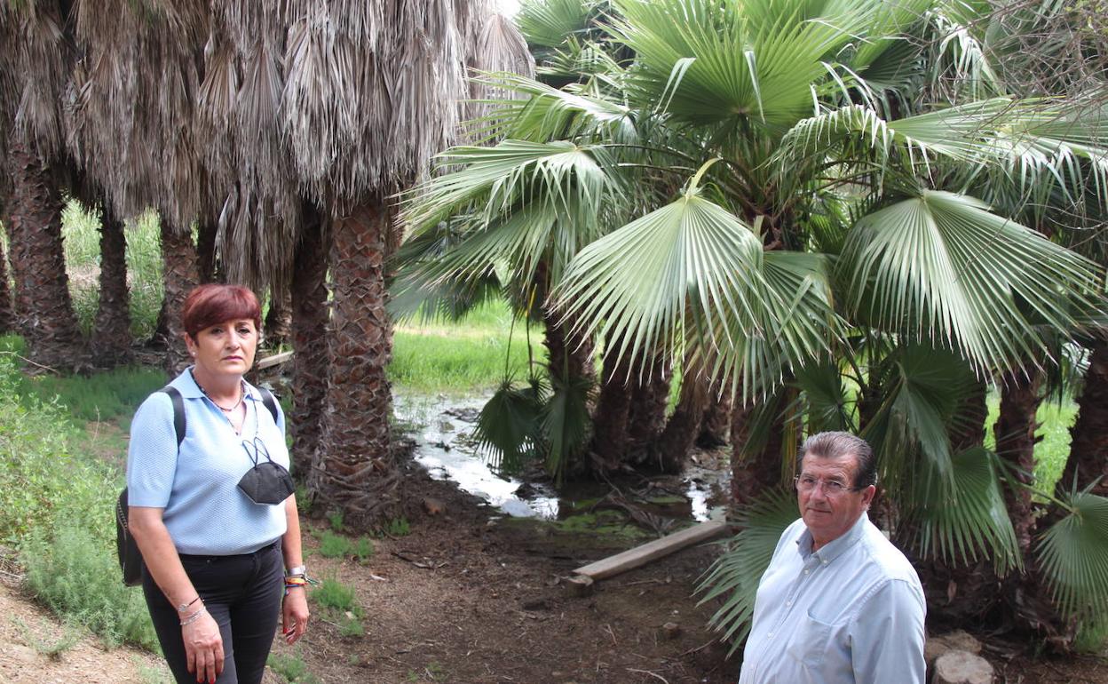 El Pleno aprueba la creación de un Aula de la Naturaleza en Matagorda