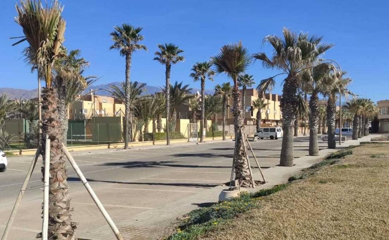 El Ejido muestra una imagen más verde con las 1.200 plantas del Plan Savia