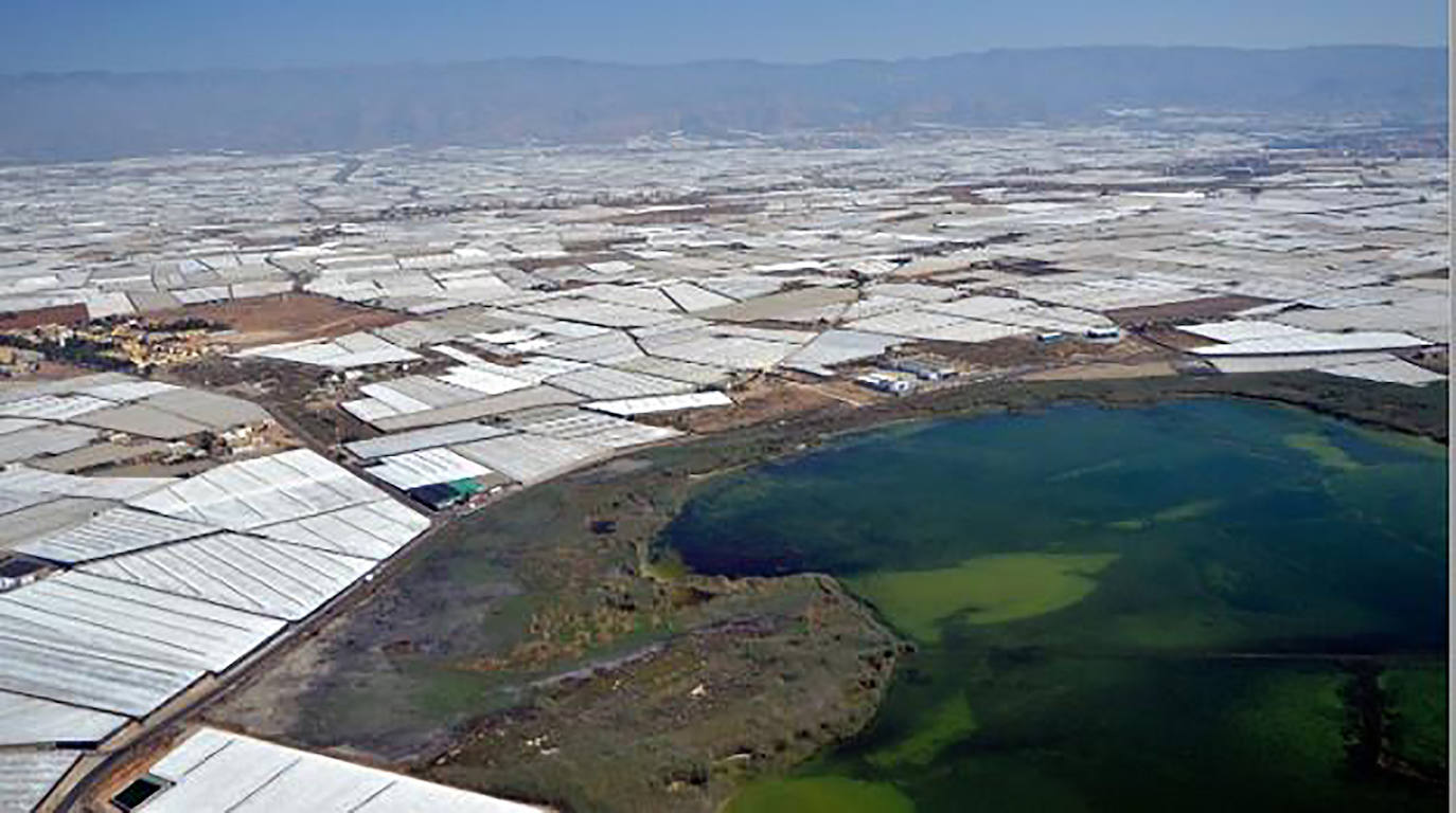Regantes del Poniente prometen trabajar para recuperar la masa de agua que está en mal estado