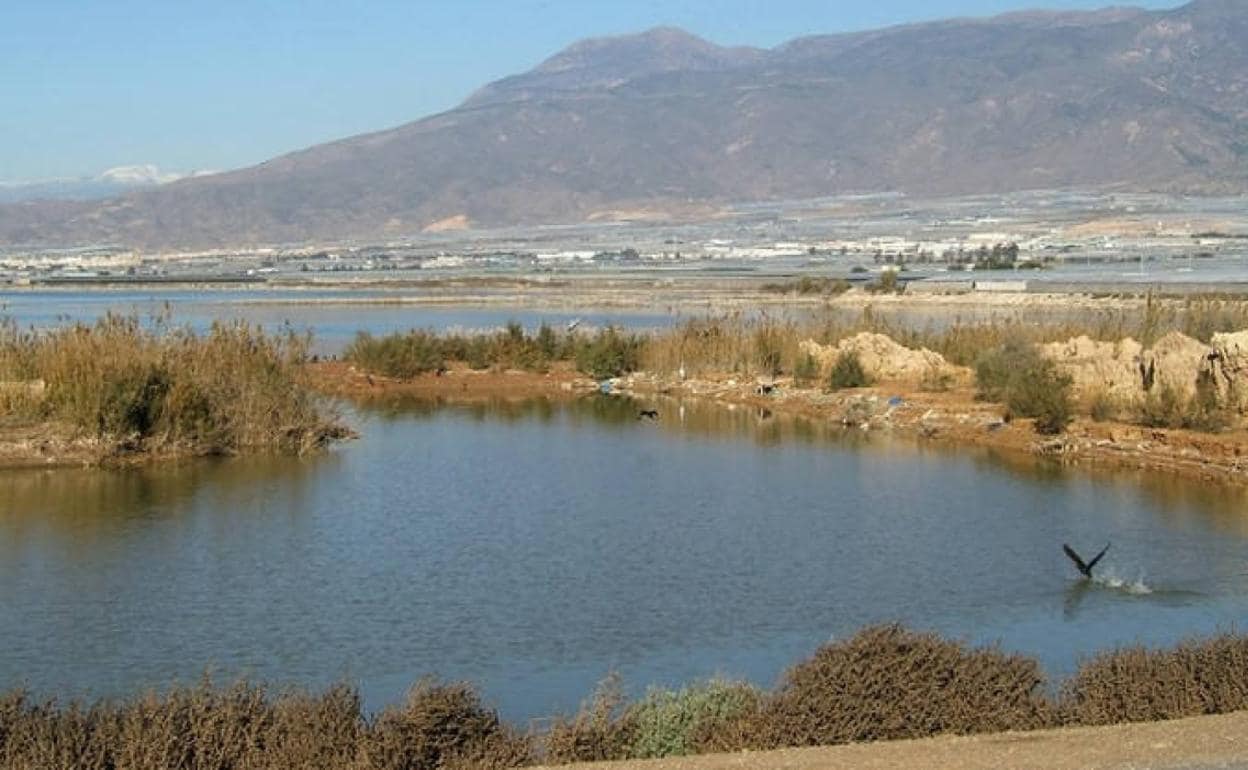 La Balsa del Sapo necesita con urgencia la planta de tratamiento