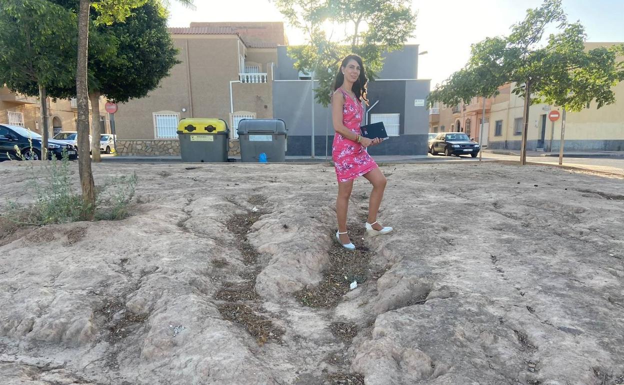 VOX pide acciones de mejora, limpieza y renovación de dos parques en Santo Domingo
