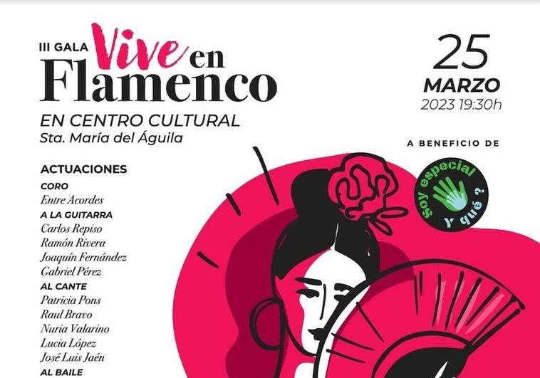 Llega la III Gala 'Vive en Flamenco' a favor de Soy Especial y Qué