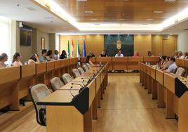 El PSOE propone una campaña de divulgación de las pulseras identificativas