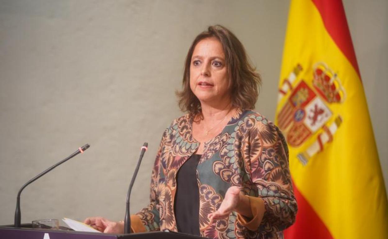 La consejera considera «intolerable» el caso del pediatra presuntamente ebrio en El Ejido