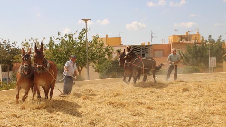 Santa María del Águila apuesta por mantener viva la historia