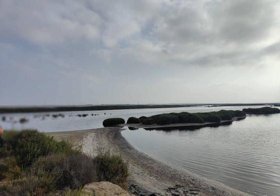 La asociación Ángel Aguilera centra su primera visita del año en Punta Entinas