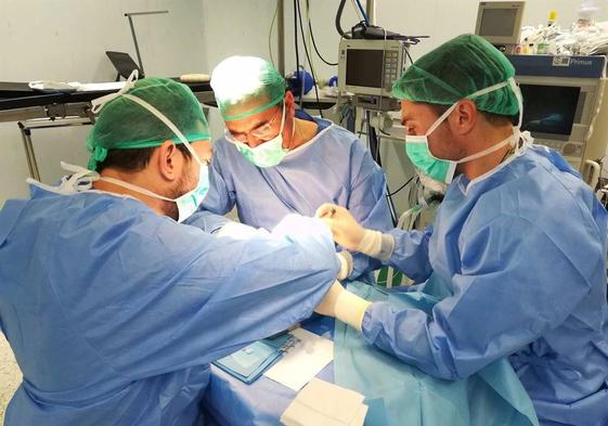 El Hospital Universitario Poniente cerró 2023 con 10 donantes de órganos y tejidos