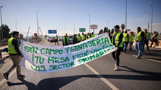 Dos detenidos por el corte de la A-7 en El Ejido durante las protestas de los agricultores