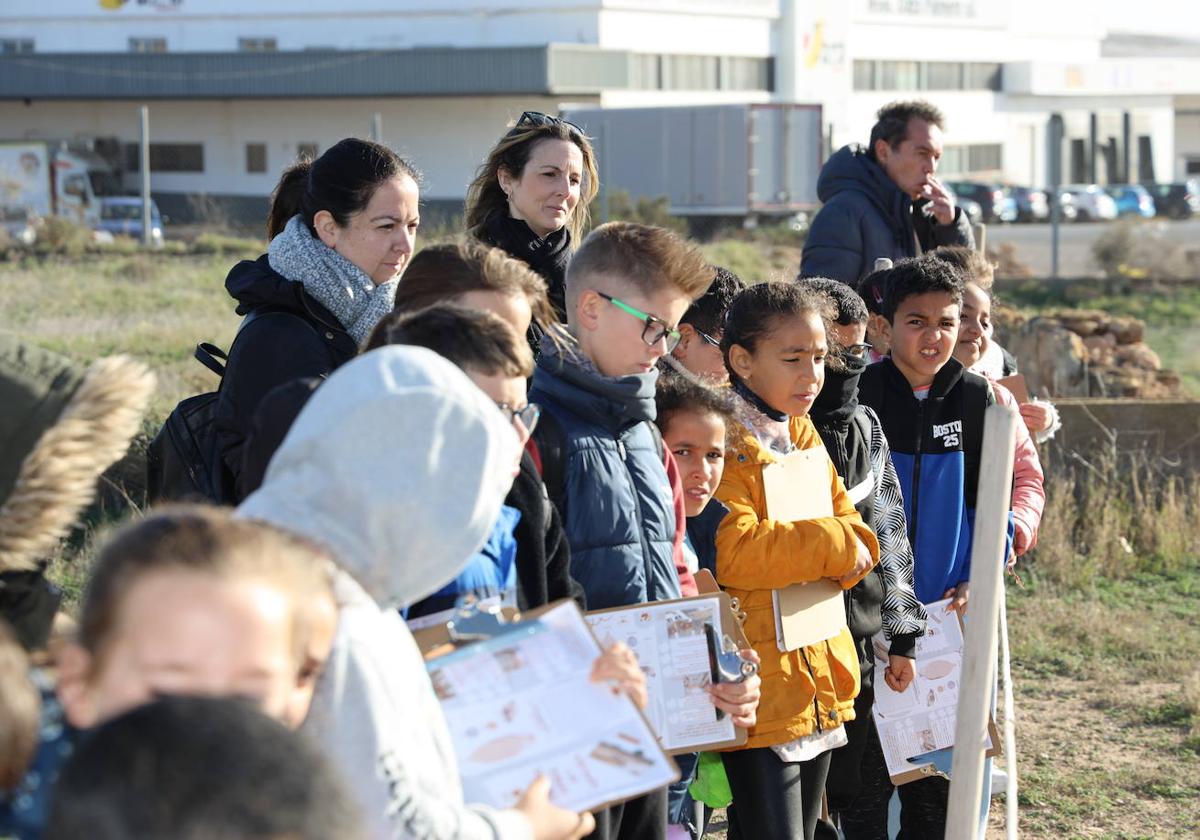 Alumnos del CEIP San Agustín abren el programa educativo de 'Ciavieja'