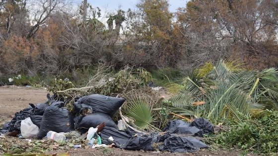 VOX denuncia que el Ayuntamiento amontona residuos vegetales en solares municipales
