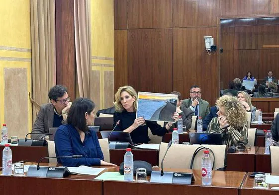 Julia Ibáñez mostrando una foto del estado de la playa de Balerma.