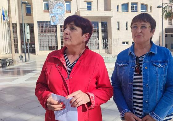 La crisis interna del PSOE de El Ejido explota: la que fue candidata a la alcaldía se pasa al grupo de no adscritos