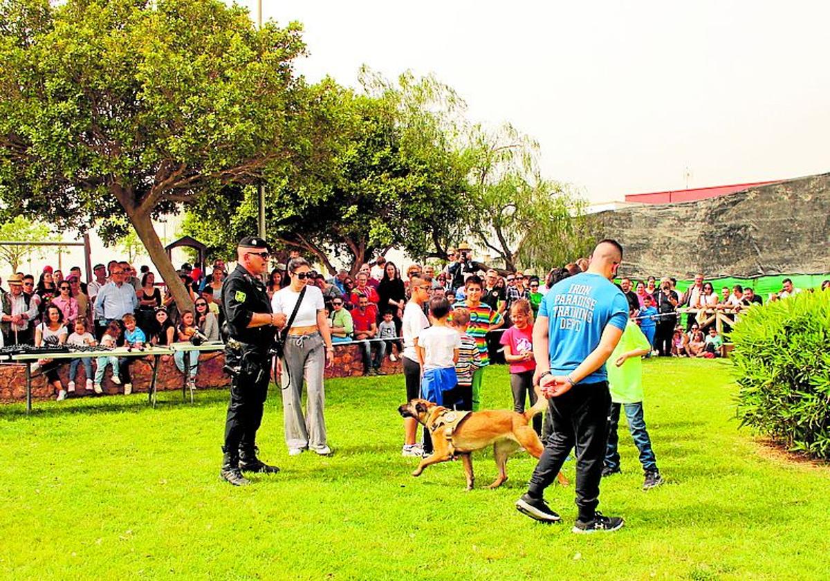 Los animales toman el protagonismo en El Ejido