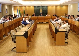 Los ejidenses pagarán un 2,9% más de IBI a partir de enero y un 2,2% más en el IAE