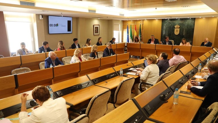 El Ayuntamiento incrementa el presupuesto de DUE para limpieza y mantenimiento hasta 12,7 millones