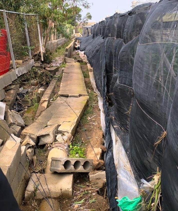 Imagen secundaria 2 - «Hay invernaderos que han caído al suelo y que están absolutamente derruidos»