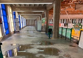 El Ayuntamiento cifra en más de 6,8 millones de euros los daños en espacios públicos e instalaciones municipales