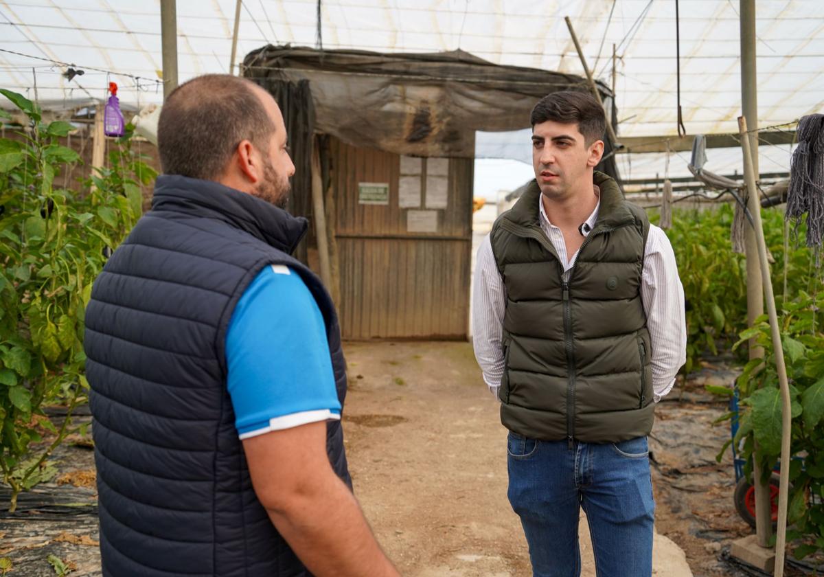 El Ayuntamiento de El Ejido anima a los agricultores a usar rafias alternativas con materiales biodegradables y compostables