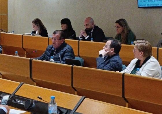 La bancada socialista en el Ayuntamiento de El Ejido.