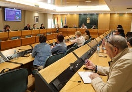 El Consejo Escolar Municipal se celebró en el Salón de Plenos del Ayuntamiento de El Ejido.