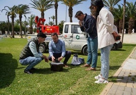 La operación se centra en tratamientos larvicidas y adulticidas aplicando soluciones innovadoras, sostenibles y eficaces en control de plagas.