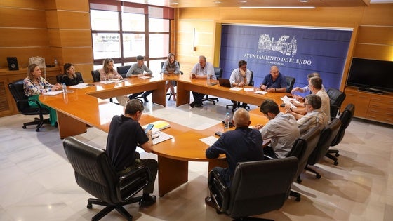 El Ejido aprueba la reposición del lucernario del Ayuntamiento