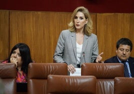 La parlamentaria andaluza, Julia Ibáñez, en una sesión.