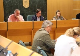 El Pleno de El Ejido aprueba los festivos locales para 2026: 27 de abril y 29 de junio