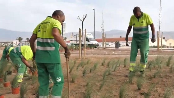 Roquetas planta flores y vegetación en el parque situado junto a la calle Vigo
