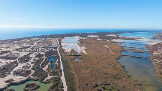 Piden retomar el proyecto de un carril que conecte El Ejido y Roquetas a través de Punta Entinas-Sabinar