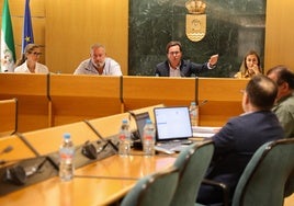 Un momento del Pleno en el Ayuntamiento de El Ejido.