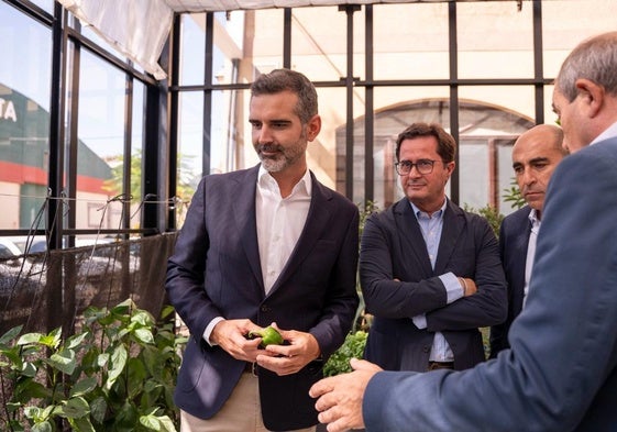 El consejero de la Junta de Andalucía, Ramón Fernández Pacheco, visita junto al alcalde de El Ejido, Francisco Góngora, una empresa agrícola.