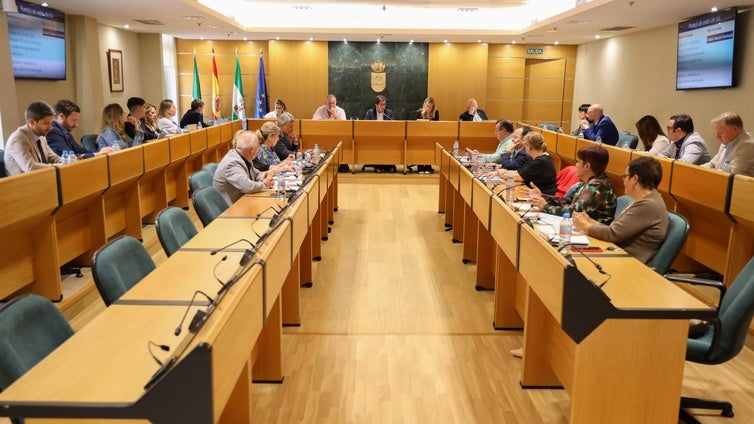 El Pleno de El Ejido exige que se garantice el plan de Auxiliares de Conversación