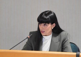 La portavoz de Vox El Ejido.