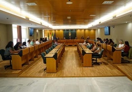 Imagen de la reunión del Consejo Municipal.