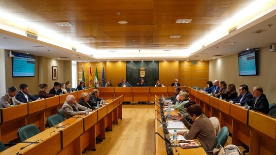 El Pleno de El Ejido reclama al Gobierno el estudio de viabilidad del tren de cercanías Almería - Poniente