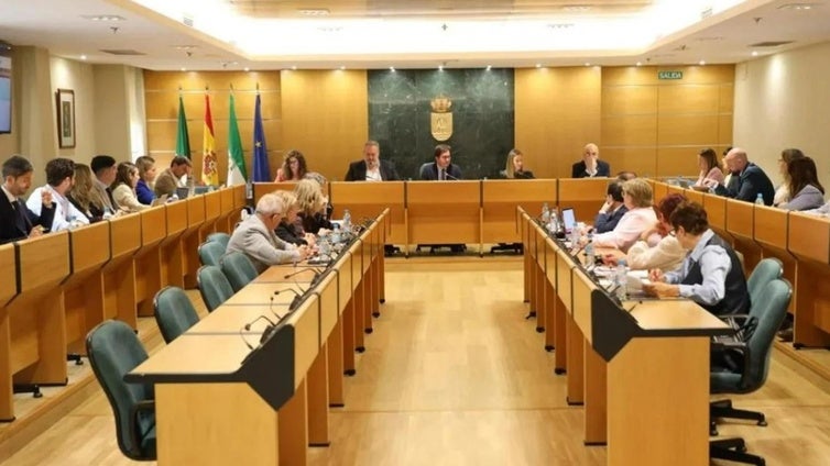 Revisión del contrato de limpieza y el tren del Cercanías, temas principales del Pleno de El Ejido