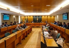 El pimiento es el principal cultivo hortofrutícola que se produce en las más de 13.500 hectáreas de invernadero.