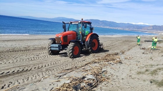 Activan un dispositivo especial de limpieza del litoral ejidense