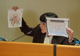 Vox denuncia la «cortina de humo» del PP para esconder la eliminación del proyecto de AVE entre Almería y Málaga