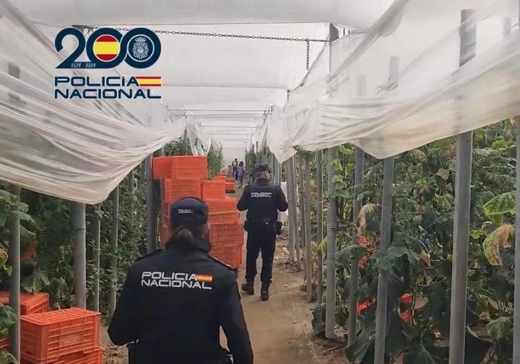 Detenidos dos empresarios agrícolas en El Ejido por emplear a migrantes en situación irregular