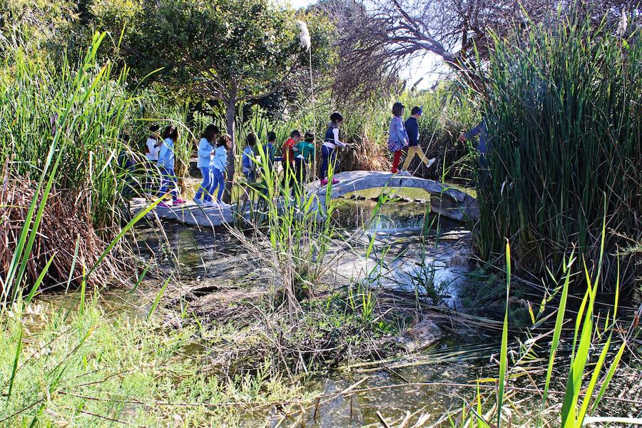 Una parte de la excursión o visita de los más pequeños al parque se centra en conocer sus especies animales y vegetales. 